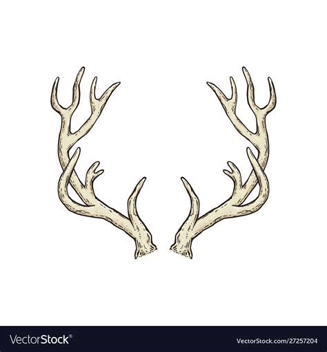 Vector Deer Antlers Black Icons Set Stock Illustration Download Image