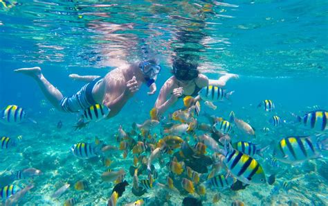 This island is great for young backpackers, travelers on a gap year and anyone who is down to get funky all night long. Turis Korsel Hilang di Gili Trawangan, Pencarian ...