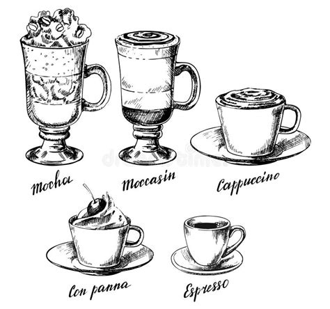 Coffee Infographic Elementstypes Of Coffee Drinks Stock Vector