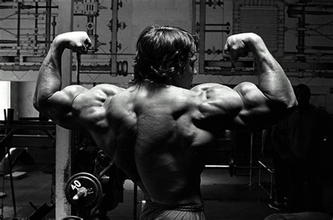 Bodybuilder Wallpaper 68 Pictures Wallpaperset