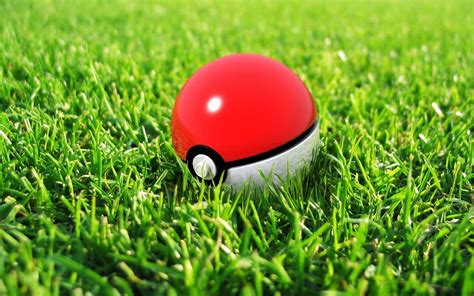 Red And White Pokemon Ball Pokémon Pokéballs Hd Wallpaper Wallpaper Flare