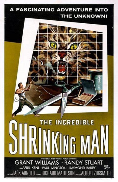 The Incredible Shrinking Man 1957 Movie Vs Book