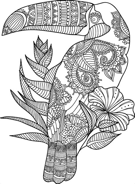 Printable Toucan Coloring Page For Adult Coloringbay