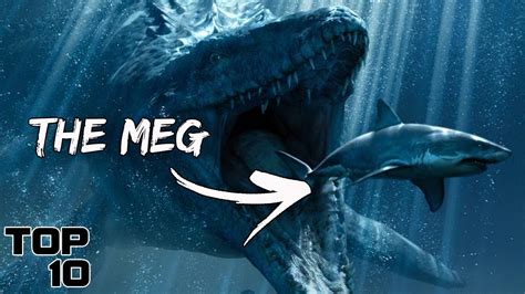 Top 10 Scary Creatures More Terrifying Than The Megalodon 10 Top Buzz
