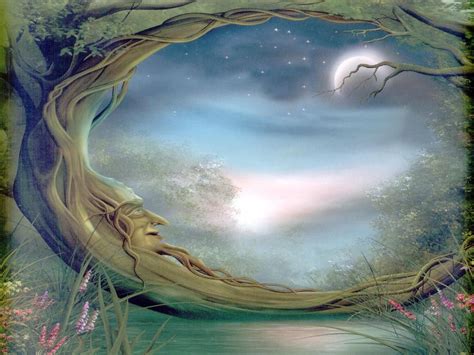 Mystical Fairies Mystical Forest Fairy Fantasy Forest Mystical