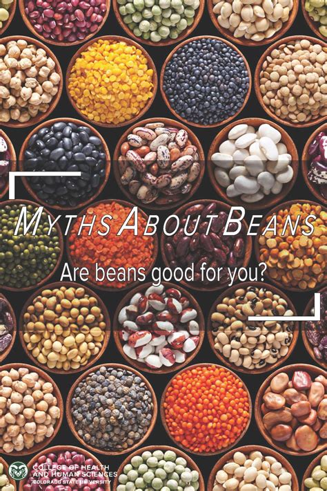myths about beans college of health and human sciences