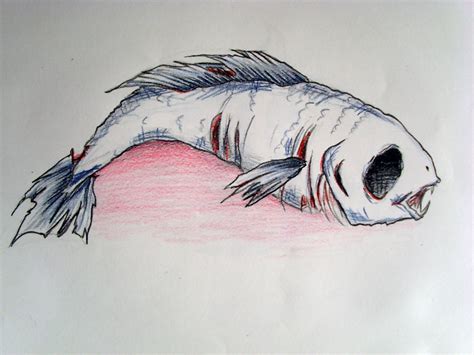 Dead Fish Drawing at GetDrawings | Free download