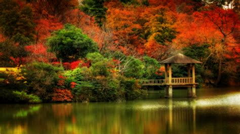 Fall Scene Wallpaper 35 Images