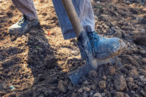Man Digging Over Loosening Soil With A Spade Stock Photo By Sergign