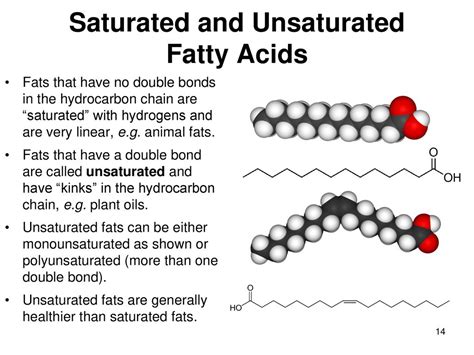 Face The Fats The Biochemistry Of Lipids By Nancy A Ppt Download
