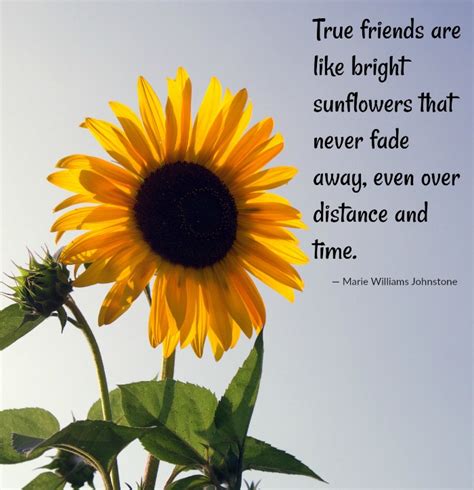 Sunshine quotes and sayings to honor the new day. Sunflower Quotes - 20 Best Sunflower Sayings with Images
