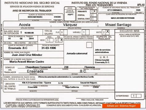 FORMATO AFIL 01 IMSS PDF