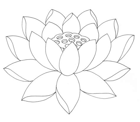 Free Printable Lotus Coloring Pages For Kids
