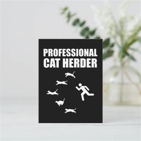 Professional Cat Herder Funny Herding Cats Postcard Zazzle