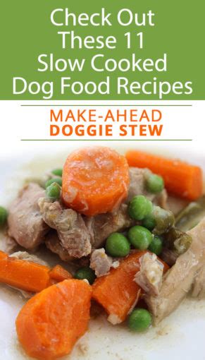 10 Slow Cooker And Crock Pot Dog Food Recipes