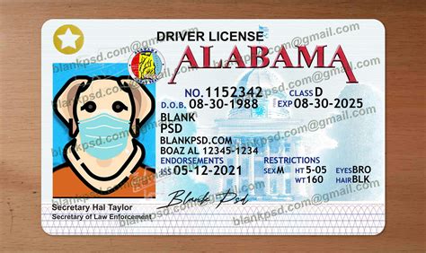 Blank Alabama Drivers License New V2 Blank Psd