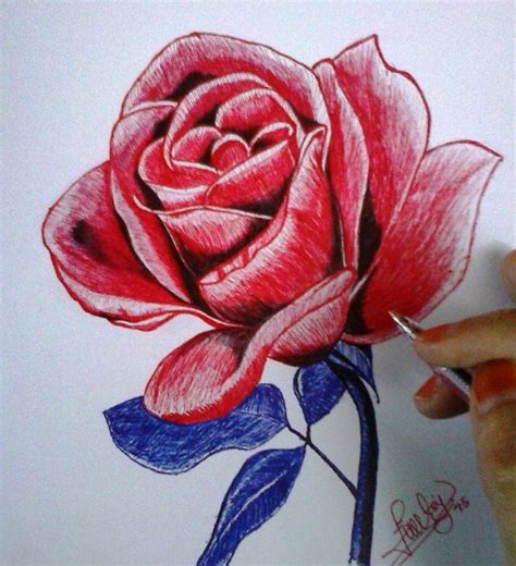 Gambar sketsa apel merah paling bagus download now 4 cara untuk meng. Gambar Lukisan Bunga Mawar Merah - Sempoa Dunia