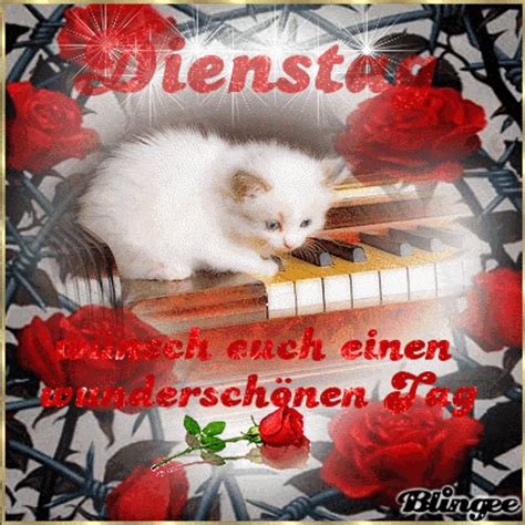 Weitere ideen zu guten morgen, guten morgen gruss, guten morgen lustig. Pin von Hannelore Habicht auf Dienstag ↗️ | Dienstag grüße ...