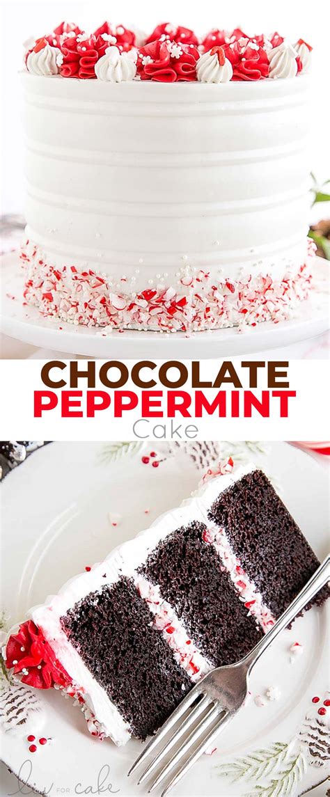 Chocolate Peppermint Cake Liv For Cake