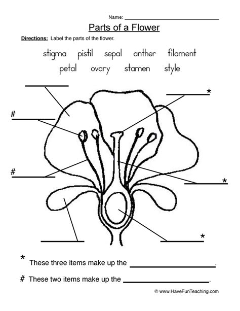 Flower Parts Of A Plant Worksheet Have Fun Teaching