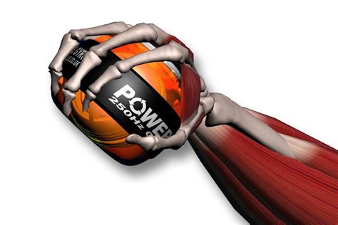 Check spelling or type a new query. Powerball