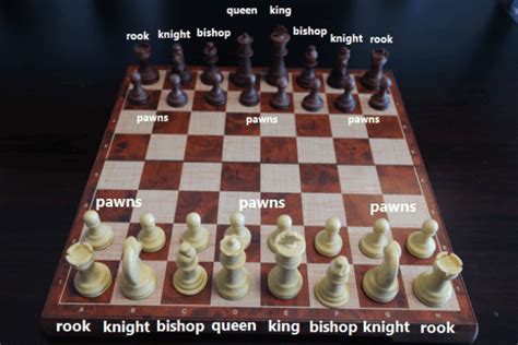 Ultimate Guide Learn The Chess Pieces Names And Moves Fly Into Books