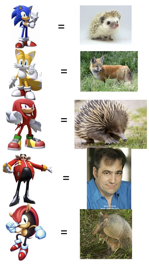 Sonic Characters Compared To Their Real Life Species Part 1 R