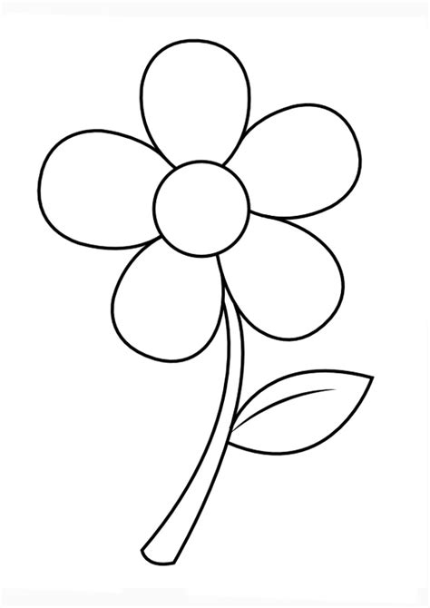 Coloring Pages Daisy Flower Coloring Page For Kids