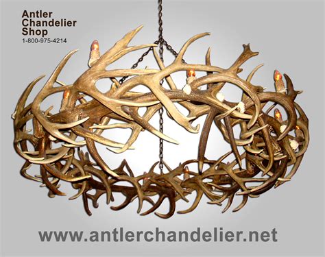 Choose from one of our unique and rustic, individually handcrafted fallow deer antler chandeliers, which is sure to add unique natural. XL Antler Chandeliers | Antler Chandelier