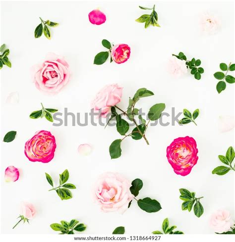 Pastel Pink Roses Flowers Green Leaves Stock Photo 1318664927