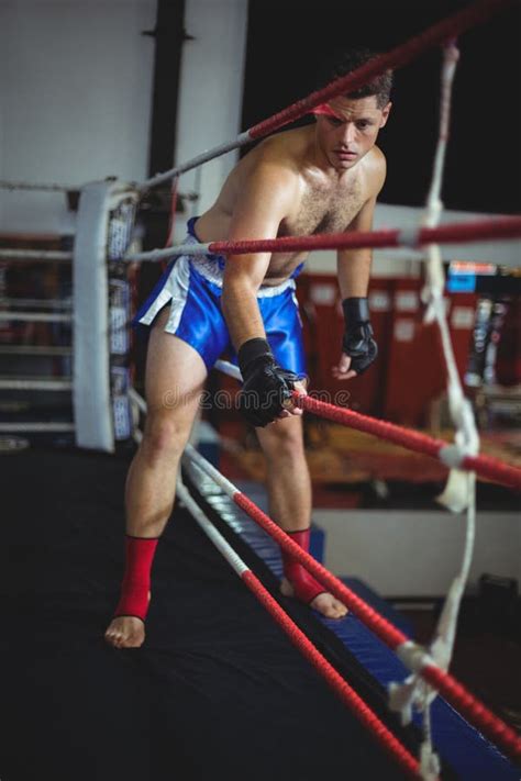 Boxer Entering In Boxing Ring Stock Image Image Of Lifestyle Effort