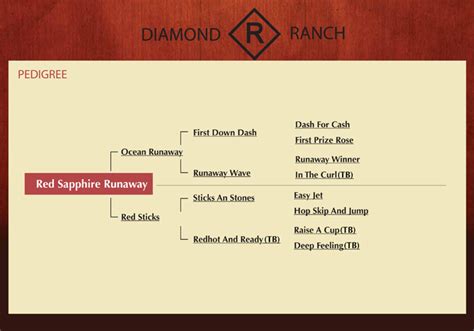 Red Sapphire Runaway Diamond R Ranch