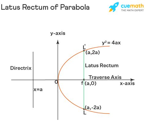 Latus Rectum Of Parabola Definition Formula Properties Examples