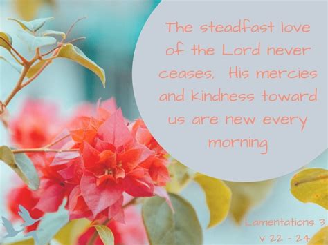 The Steadfast Love Of The Lord Never Ceases Dayspring Church A