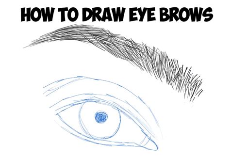 How To Draw Eyebrows Step By Step For Beginners How To Draw Eyebrows