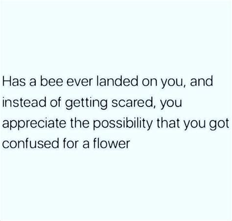 Bees Are Your Friends Rwholesomememes