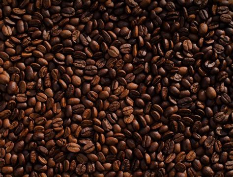 mengintip kisah  balik kenikmatan kopi robusta  kendari budayaco