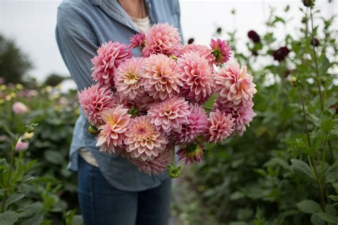 Maybe you would like to learn more about one of these? 2017 Floret Workshop Scholarship Winners - Floret Flowers