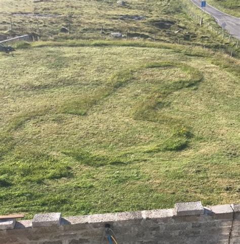 Prankster Leaves His Mam Livid After Mowing This Huge X Rated Image