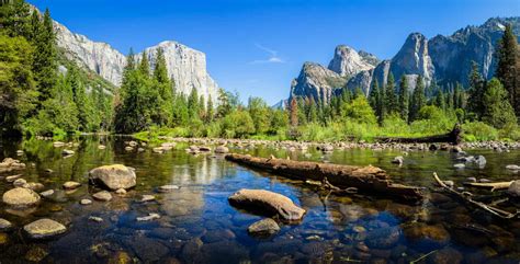 12 Yosemite National Park Facts That Will Blow Your Mind A Z Animals
