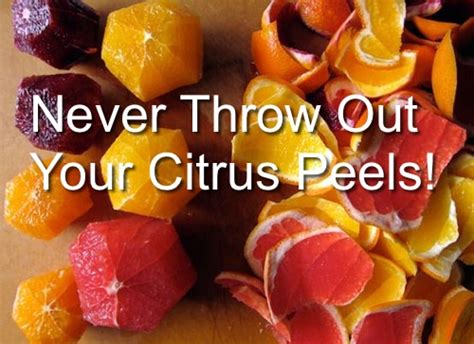 Ideas For Citrus Peels Homestead And Survival