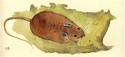 Field Mouse Mice Up Cute Grass Branch Forest Animal 8x4 21x95 Cm Art