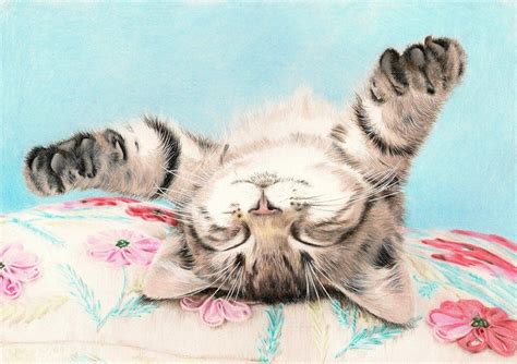 Sleeping Kitten 2 Coloured Pencil Drawing By