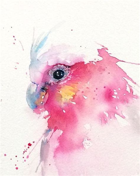 Galah illustration PRINT from my Australian Wildlife watercolour