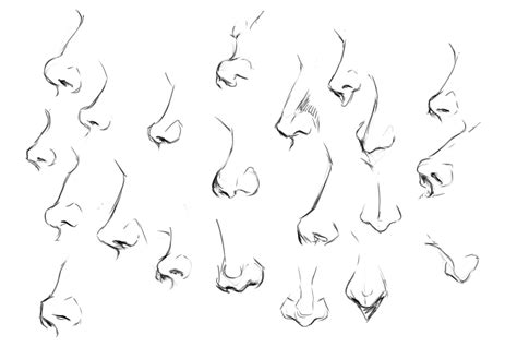 Practice Noses Figures And Motivation Nose Drawing