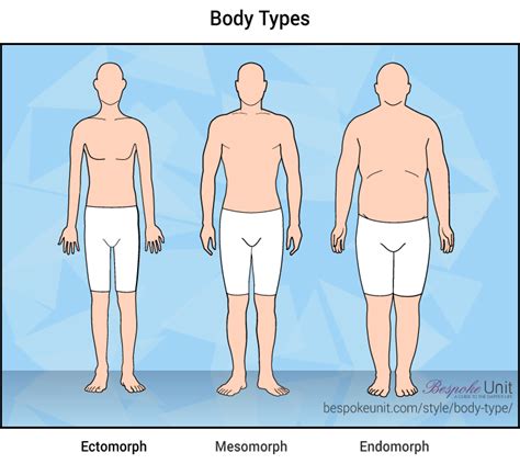 The Ultimate Guide To Male Body Types Understand Your Body S Frame