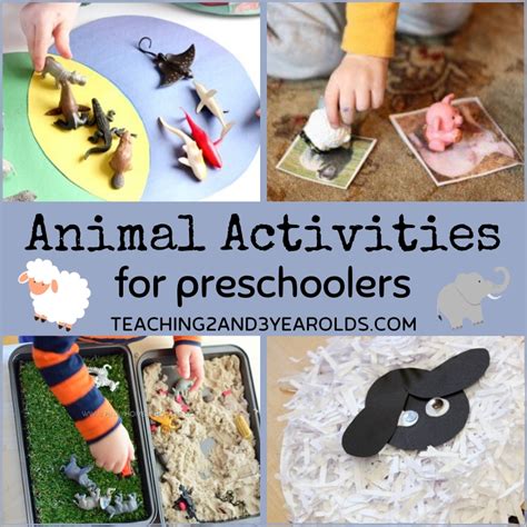 Top 122 Animal Activities For Kids