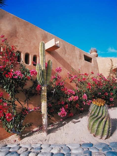 Reduce Water Use With Xeriscaping Xeriscape Desert Landscaping