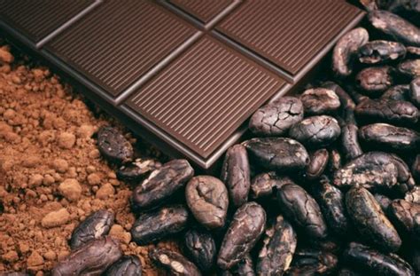 Le Chocolat 100 Cacao Et Ses Bienfaits Sur La Santé ⋆