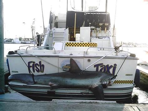 Learn everything there is to know about the pier, including its history, fishing information, parking information and more. Fish Taxi Sportfishing and Boat Charter (Oceanside) - 2021 ...